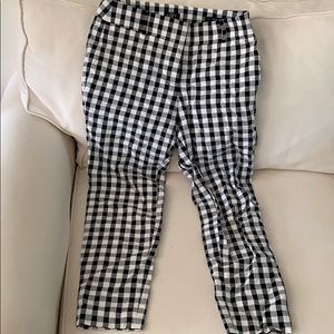 Ann Taylor Loft Pants